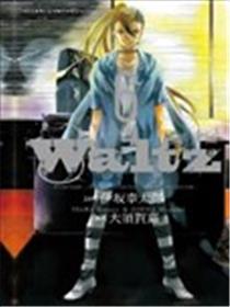 Waltz华尔滋海报