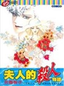 夫人的杀人物语海报