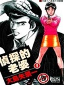 侦探的老婆海报