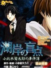 小此木莺太郎事件簿 湖岸的盲点海报