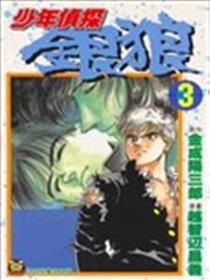 少年侦探银狼海报