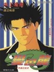 变色龙海报