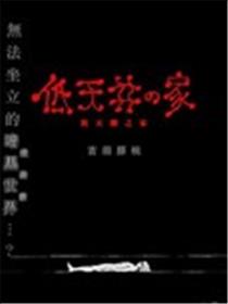 低天棚之家海报