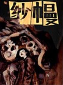 纱幔海报