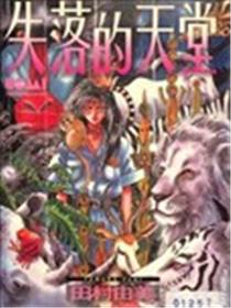 失落的天堂海报