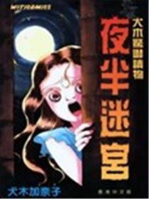 夜半迷宫海报