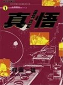 我是真悟海报