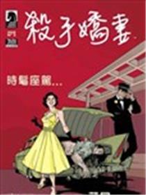杀手娇妻海报