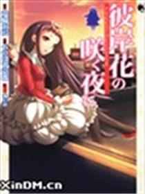 彼岸花盛开之夜 心灵照相机海报