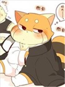 潘达君和雷萨君海报