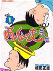 西瓜皮先生海报