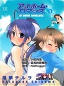 家庭罗曼史海报