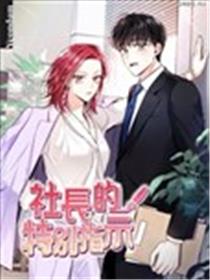 社长的特别指示海报