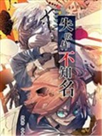 失败作不知名海报