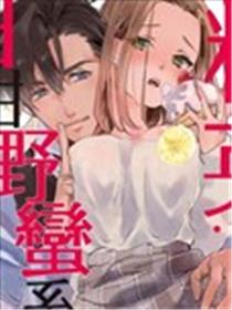 精英上司甘甜的野蛮系秘密海报