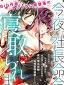 今夜、奉命偷欢。海报
