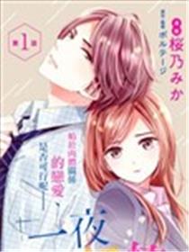 一夜倾情海报