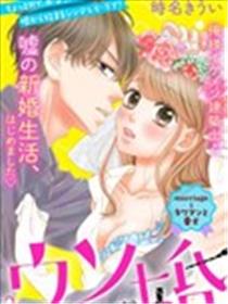 我们假结婚吧海报