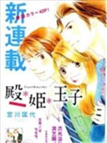 殿姬王子海报