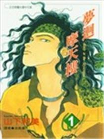 梦回摩天楼海报
