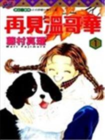 再见温哥华海报