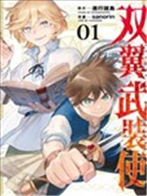 双翼武装使海报