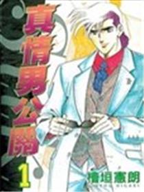 真情男公关海报
