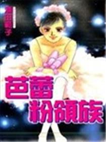 芭蕾粉领族海报