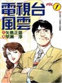 电视台风云海报