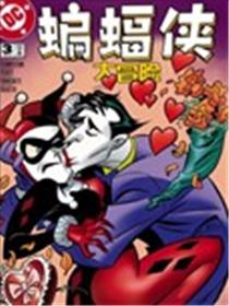 蝙蝠侠大冒险海报