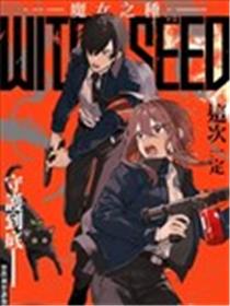 魔女之种海报