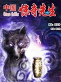 中国惊奇先生海报