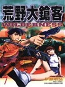 荒野大枪客海报