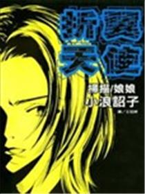折翼天使海报