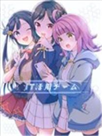 IT活用队海报