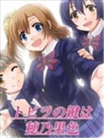 门扉的钥匙是穗乃果色海报