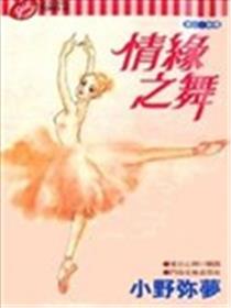 情缘之舞海报