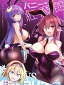 兔女郎红魔馆 VS 爱丽丝海报