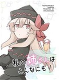 我的姐姐是这么的！海报
