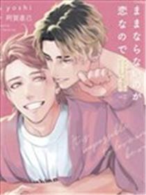 无法如愿的爱恋海报