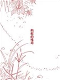 蚂蚁的味道海报