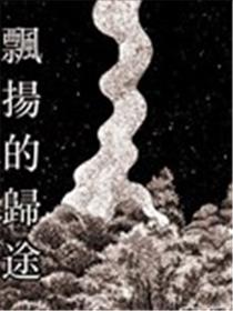 飘扬的归途海报