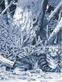罚猫的梦想海报