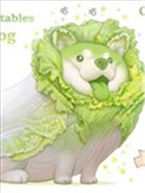 蔬菜图鉴海报