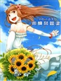 狼与香辛料画集海报
