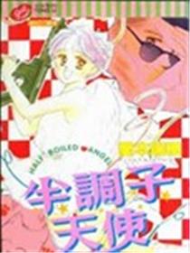 半调子天使海报