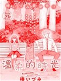 温柔的时光海报
