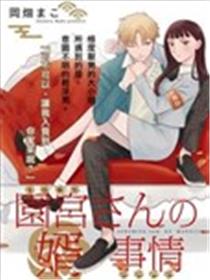 园宫小姐的天降赘婿海报