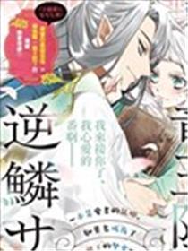 龙王陛下的逆鳞公主海报