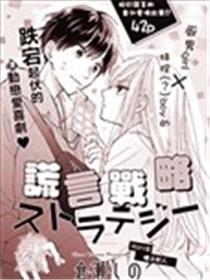 谎言战略海报